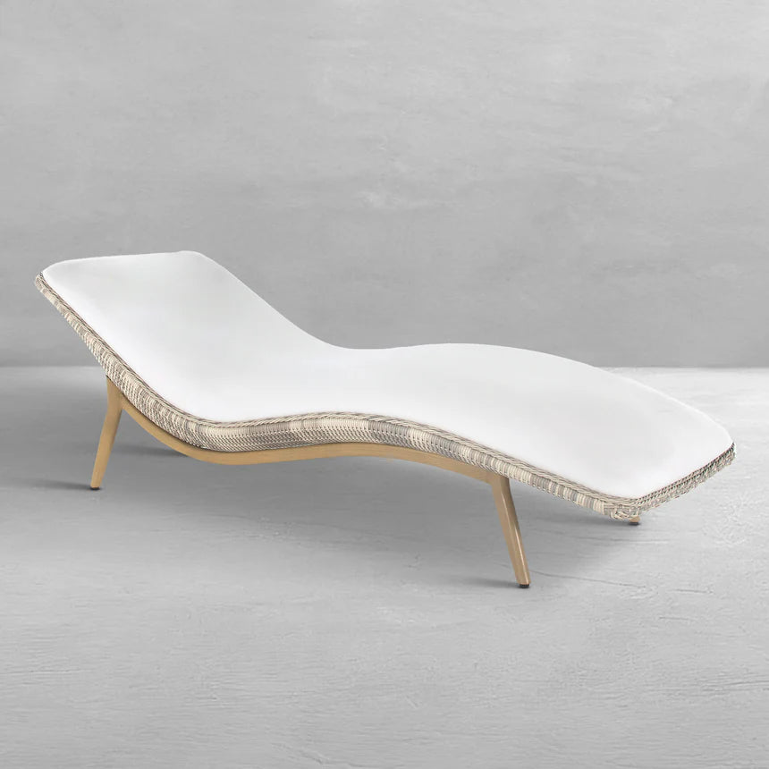 PALMA Collection
